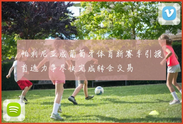 帕利尼亚成葡萄牙体育新赛季引援首选力争尽快完成转会交易