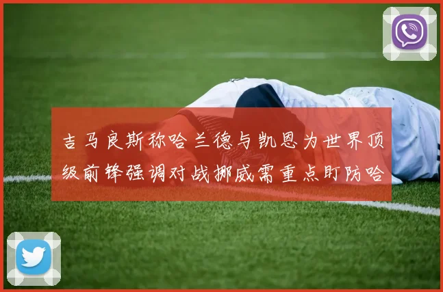 吉马良斯称哈兰德与凯恩为世界顶级前锋强调对战挪威需重点盯防哈兰德
